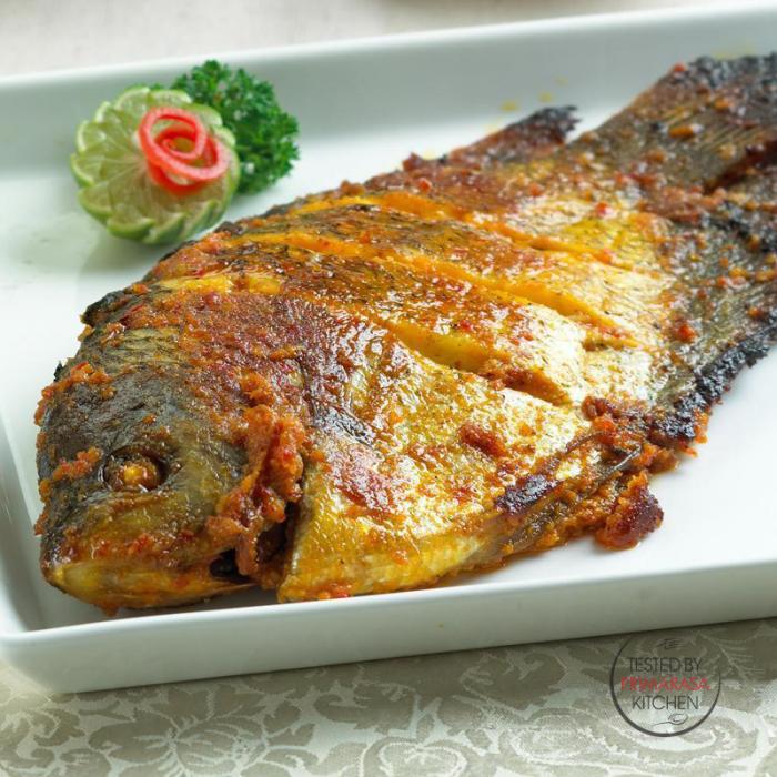 Cara Masak Ikan Singgang Simple - Hans Cooking Recipes